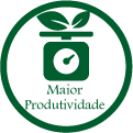 Maior Produtividade